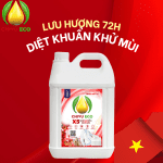 Bài hát: Tết trên Điện Biên