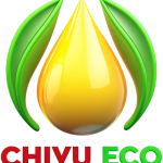 Bài hát: Tình ca Điện Biên